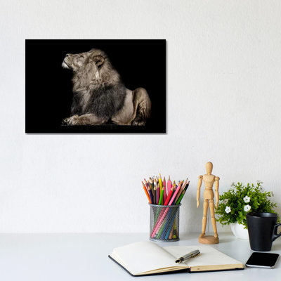 Ignorance by Paul Neville - Gallery-Wrapped Canvas Giclée on Canvas