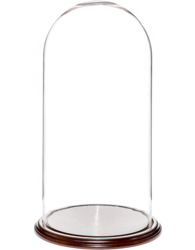 Cloche en verre Vucciria, Base en placage de noyer, H 23 po x l 11,75 po x P 11,75 po