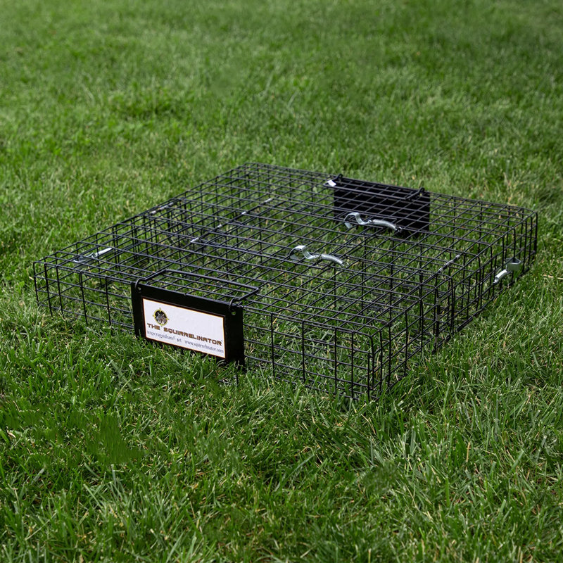 Weather Resistant Squirrel Cage