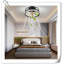 Ventilateur de plafond Museau avec lumières DEL