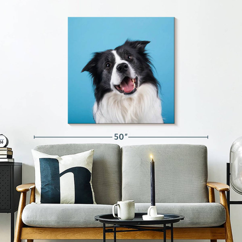 Crowle Happy Border Collie, H 30 po x l 30 po