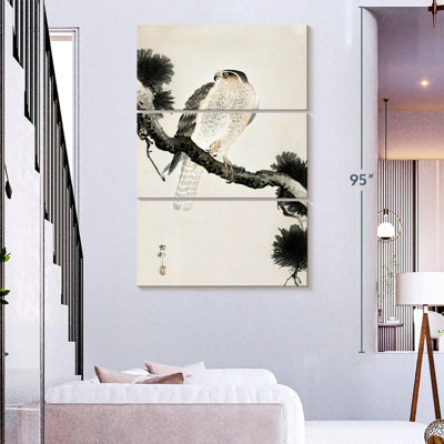 Brampt Hawk On Pine Branch