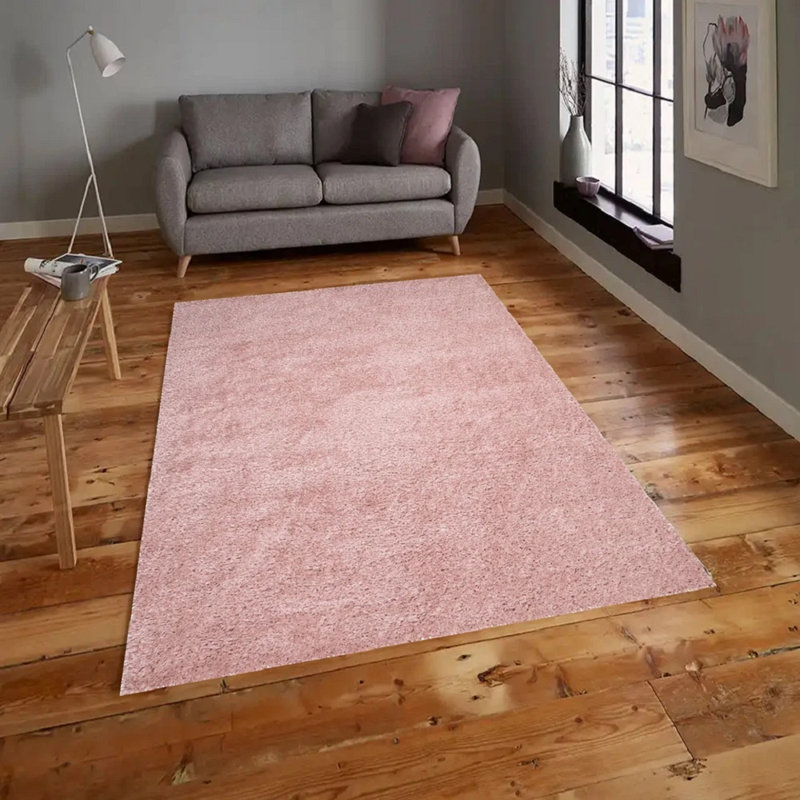 Shag Indoor / Outdoor Area Rug, Rectangle 220 x 290 cm