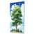 Toile tendue