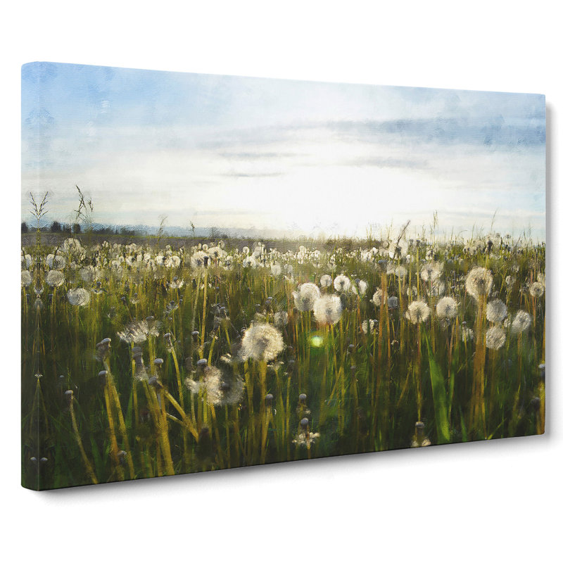 Dandelion Field - Wrapped Canvas Print, 50cm H x 76cm W x 3cm D
