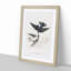 White-Bellied Swallow by John Audubon - Picture Frame Art Prints-55613018-55613013