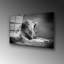 Boze Wall Decor