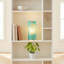 Lampe de table 17 "quintan-1424282873