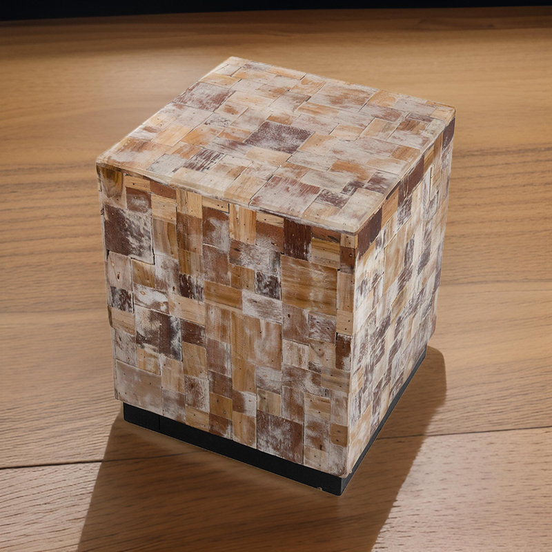Anupriya End Table