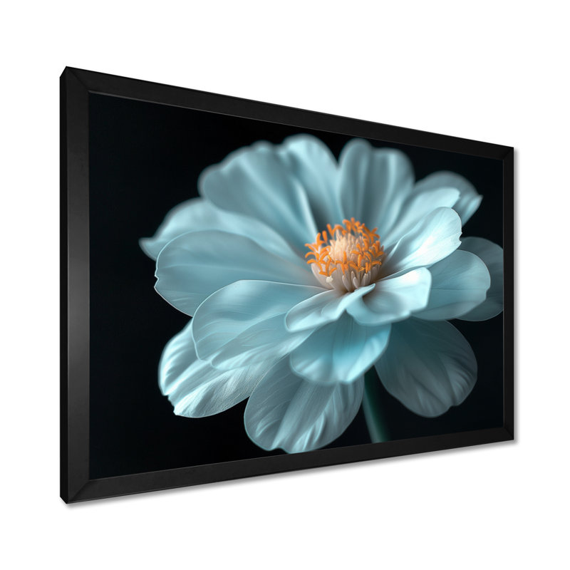 Natures blanches et noires, souci, art mural, salon, Cadre simple noir, bois massif, H 12 po x l 20 po