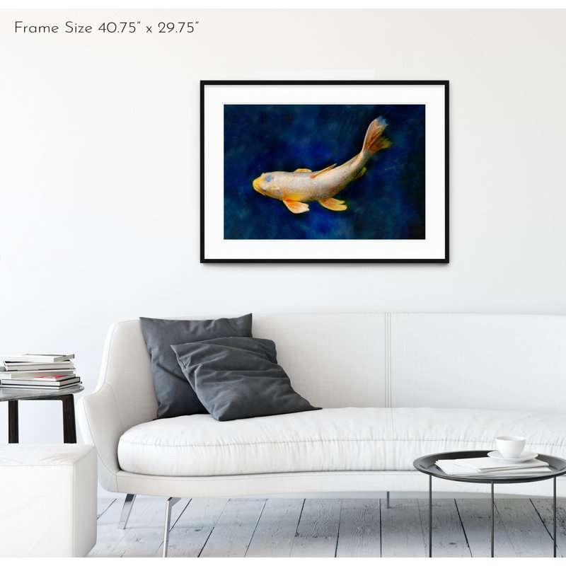 Butterfly Koi - Picture Frame Photograph on Paper , 28.5" H x 40" W, Black Framed