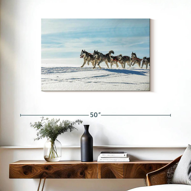 Winter Husky Sled Dogs, H 24 po x l 36 po