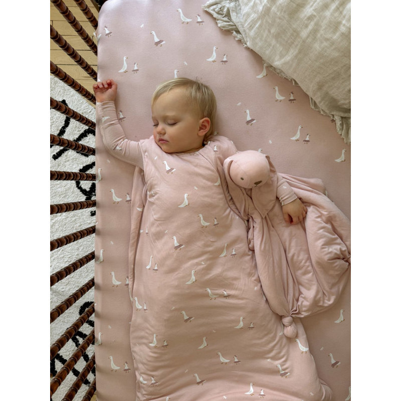 Lapin Lovey - Stella, Stella