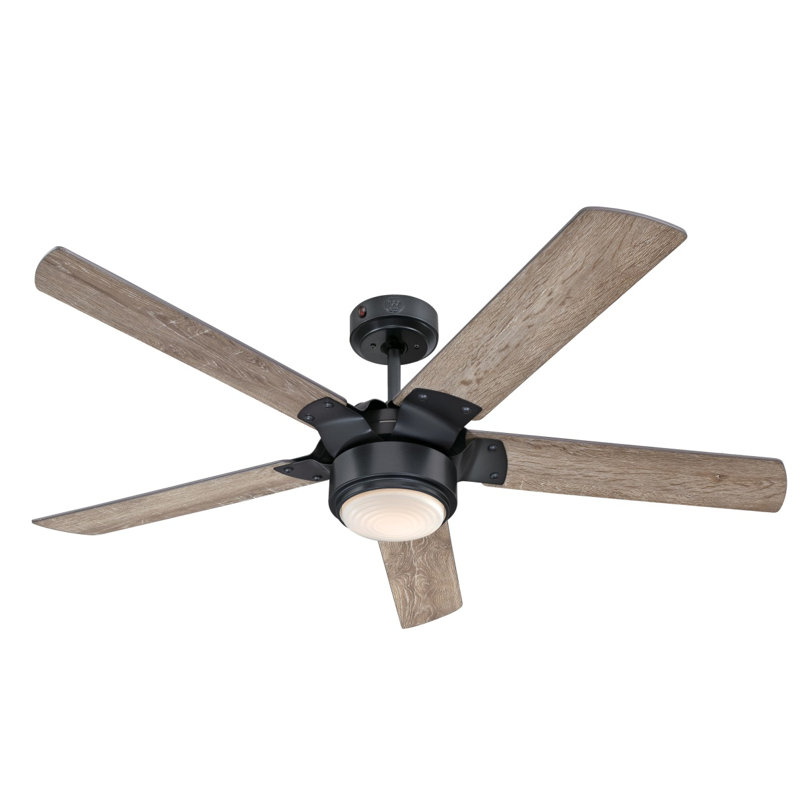 Prochoros Ceiling Fan with LED Lights