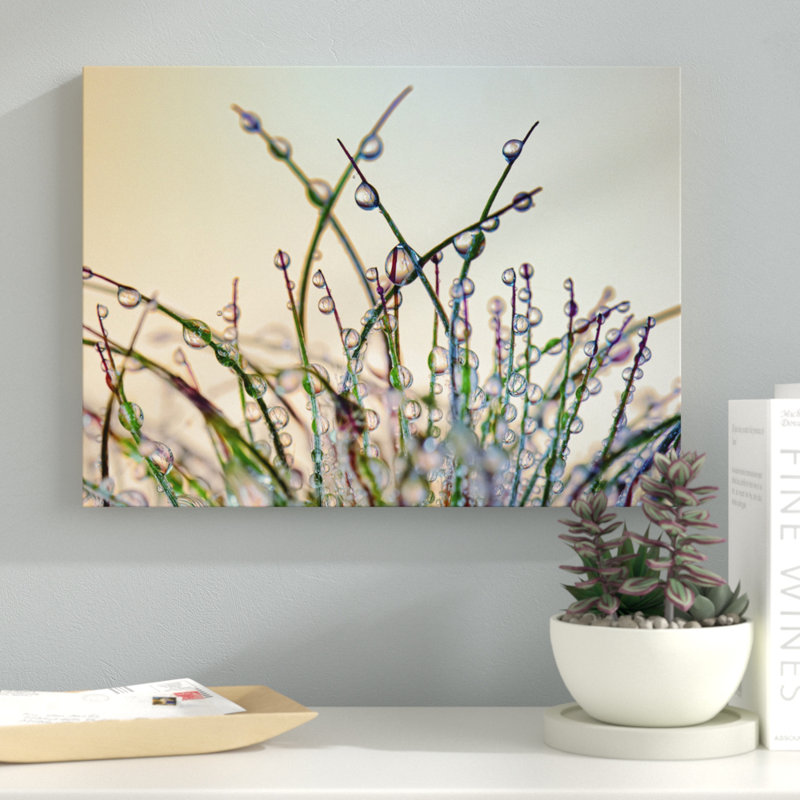«Dewy Grass» par Cora Niele - reproduction de photo sur toile tendue, H 14 po x l 19 po x P 2 po