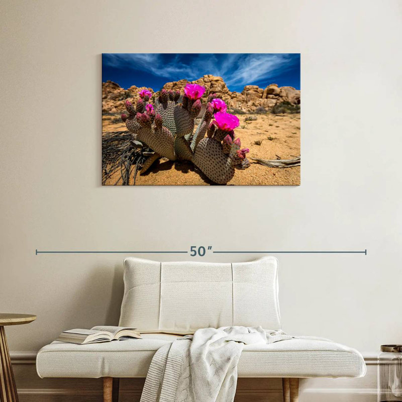 Cactus Harnek Beavertail, H 24 po x l 36 po