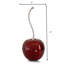 Cereza Perlada Sm Stem Cherry  -220721930