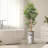 Artificial Tree in Contemporary Planter Fake Bamboo Silk Tree (Plant Pot Plus Tree)-103687336