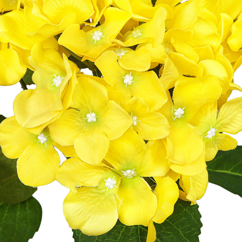 Tige d'hortensia de luxe Cragmont, Jaune