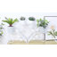 Altamont Plant Stand - Set of 2-1905372944