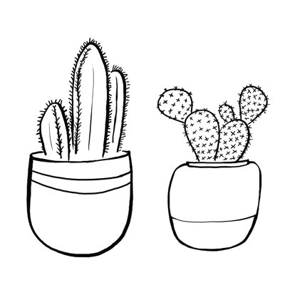 Cactus en pot