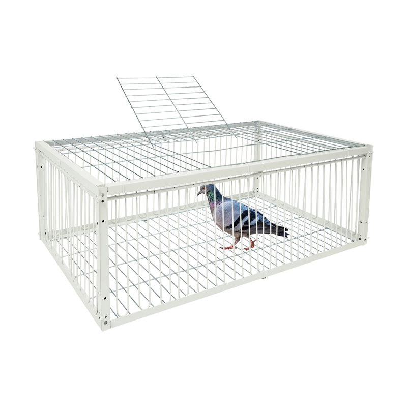 Cage à pigeons rectangulaire autoportante, H 10,23 po x l 15,74 po x P 27,55 po