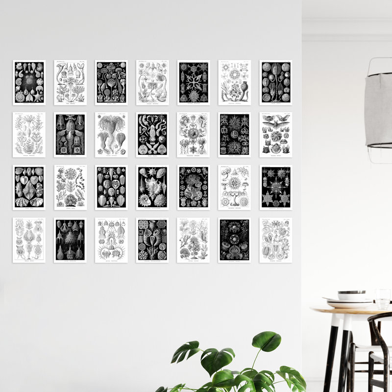 Baryram 50 Piece No Frame Print