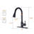 RENIST Pull Down Kitchen Faucet
