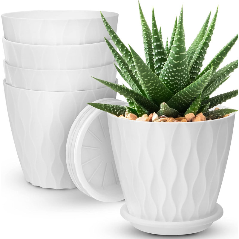 6" White Planters 5-pack With Drainage & Saucers