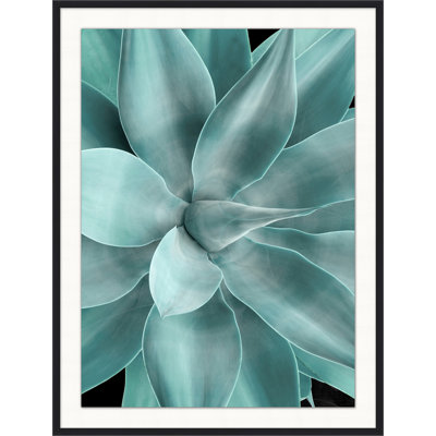 Bold Agave 2 Print by Christopher Kennedy