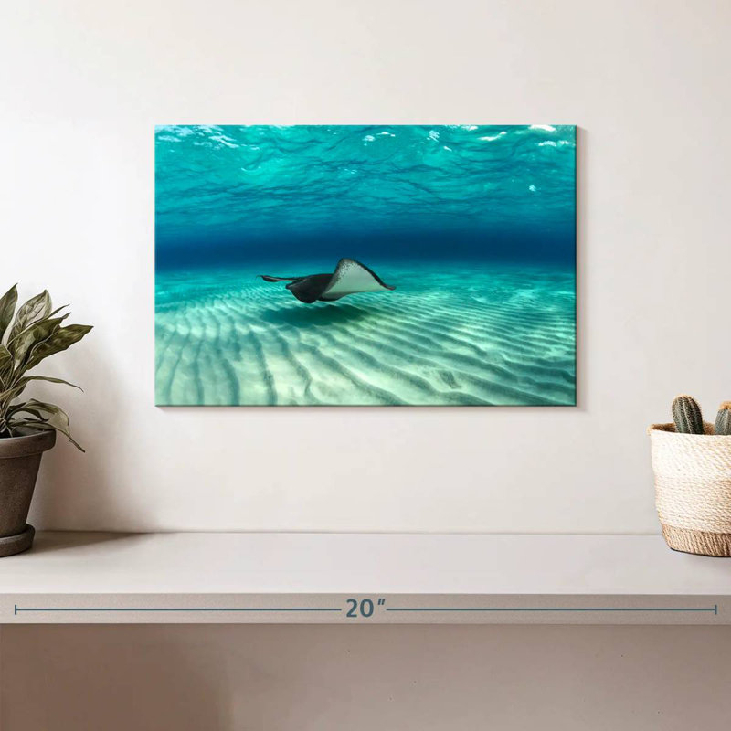 Crowle Stingray Fish, 8" H x 12" W
