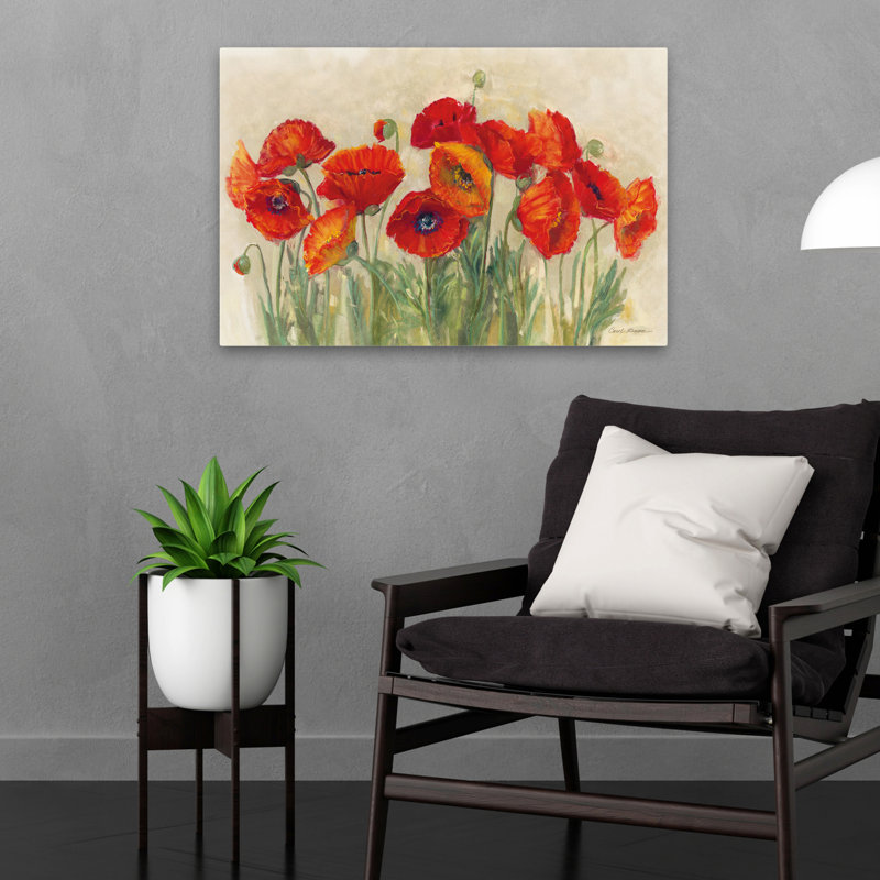 Fleurs - Coquelicots éclatants, H 16 po x l 24 po