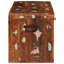 Camp Trunk / Footlocker-1703121835