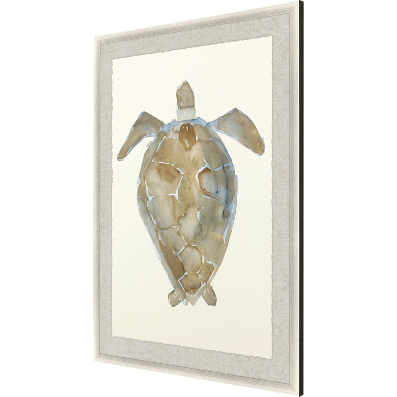 Neutral Turtle II