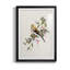 Spring Spring Pine Grosbeak - peinture encadrée-123802680-123802684
