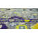 Eddins Washable Oriental Indoor Rug