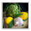 «Fruit and Légume Still Life», estampe numérique encadrée par Graffi *ee Studios