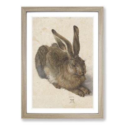 Albrecht Dürer - Single Picture Frame Print