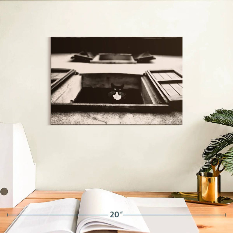 Crowle Dali, le chat, photographie, H 8 po x l 12 po