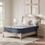 Matelas Plush Luxe 2.0-1261653728