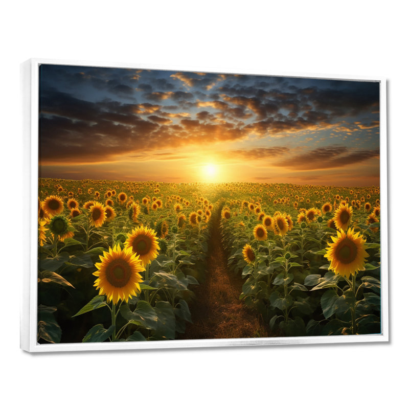 Tournesol doré panoramique - décoration murale florale, H 16 po x l 32 po x P 1 po, Cadre flottant blanc