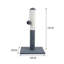 Sedley Scratching Post