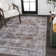 Alanya Ornate Medallion Machine-Washable Brown/Light Gray Rug