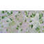 Imprimé de lilas blancs par l'artiste locale Janet Burrows-67516377-67516374