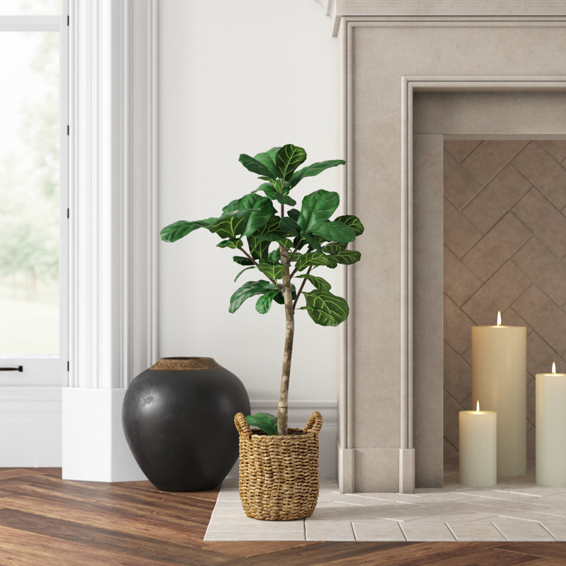 Joss & Main Fiddle Leaf Fig Tree - Thumbnail 2