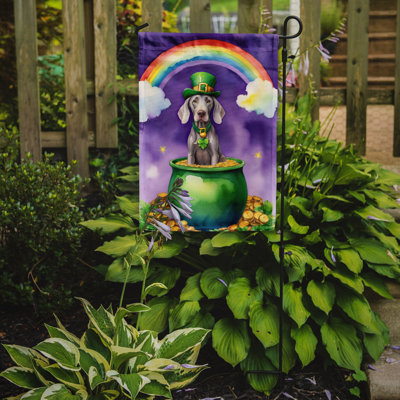 Double Sided 15.5'' H x 11.25'' W Polyester St Patrick's Day Garden Flag