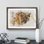 Tiger Vol.7 Watercolour - Picture Frame Graphic Art-62806997-62806998