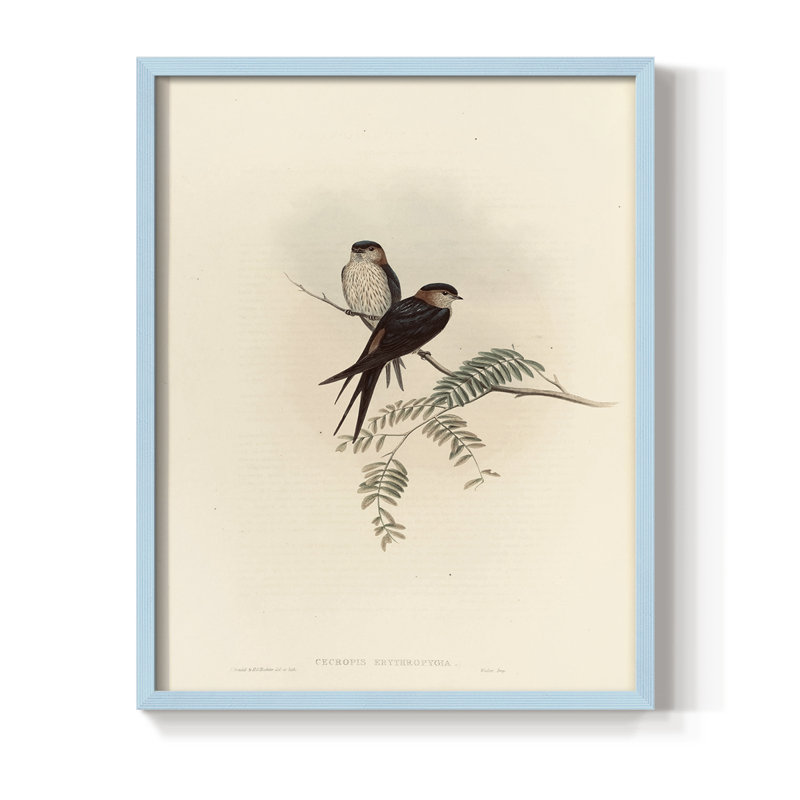 «Vintage Animal Print», impression encadrée en bois massif, H 15 po x l 12 po, Bleu
