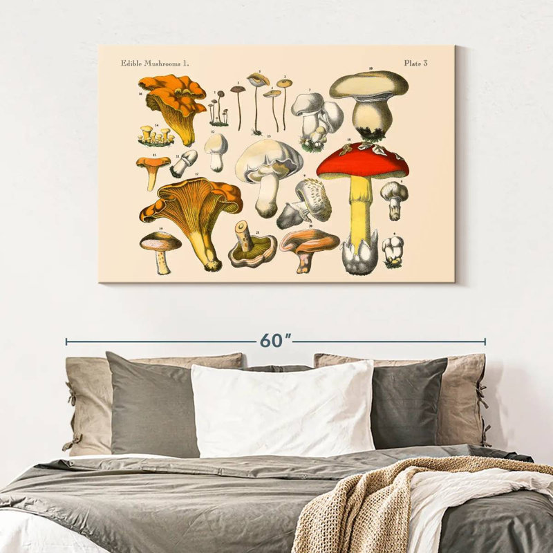 Yarlin Vintage Mushrooms, 34" H x 51" W