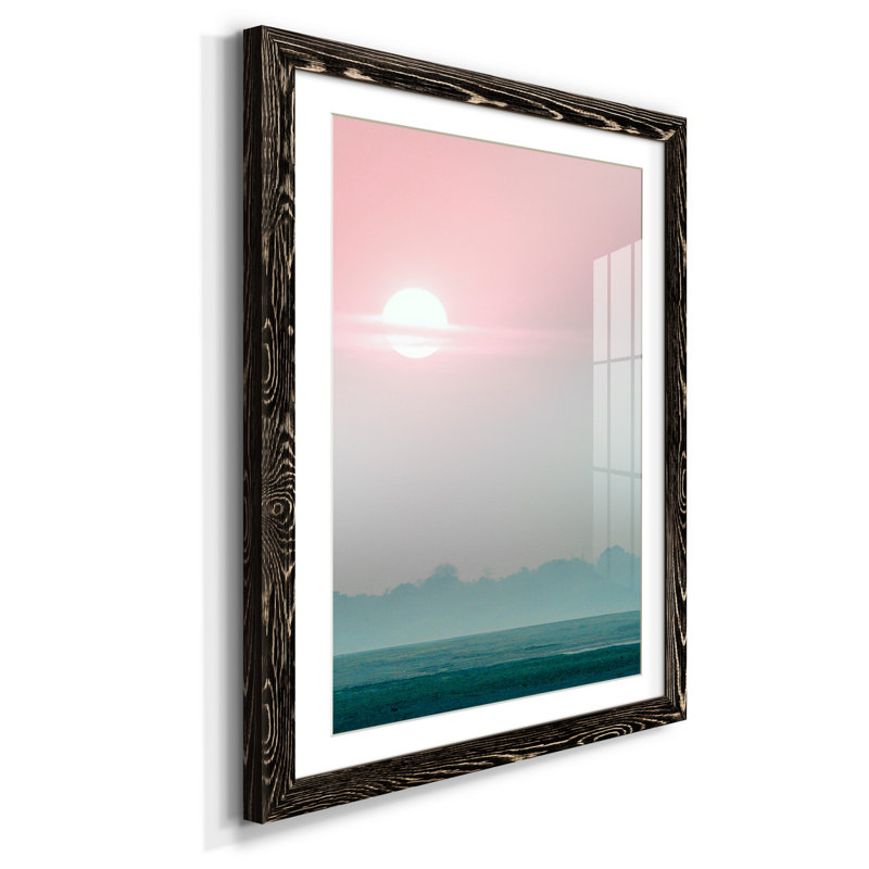Zen Succulent III - reproduction de photo sur papier encadrée, Noir, H 37,5 po x l 27,5 po x P 1,5 po